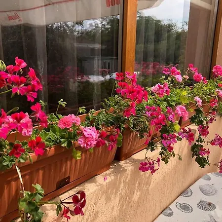 Borovets Guest house